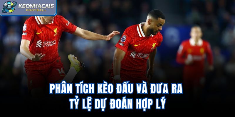 Phân tích kèo đấu và đưa ra tỷ lệ dự đoán hợp lý