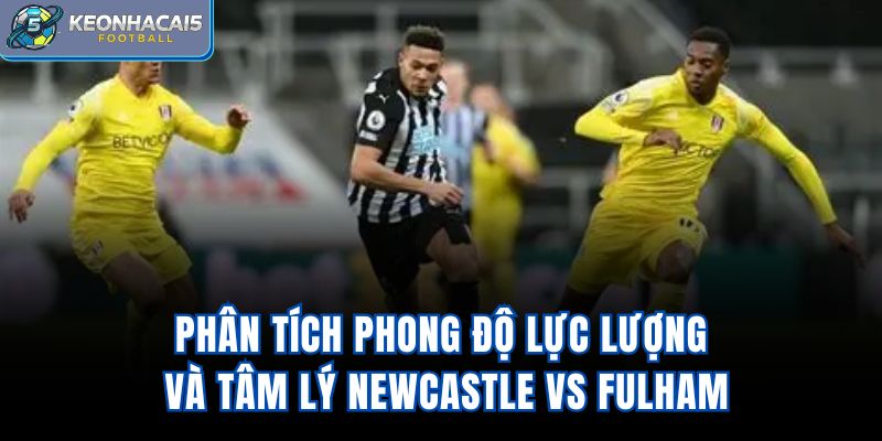 Phân tích phong độ, lực lượng và tâm lý Newcastle vs Fulham