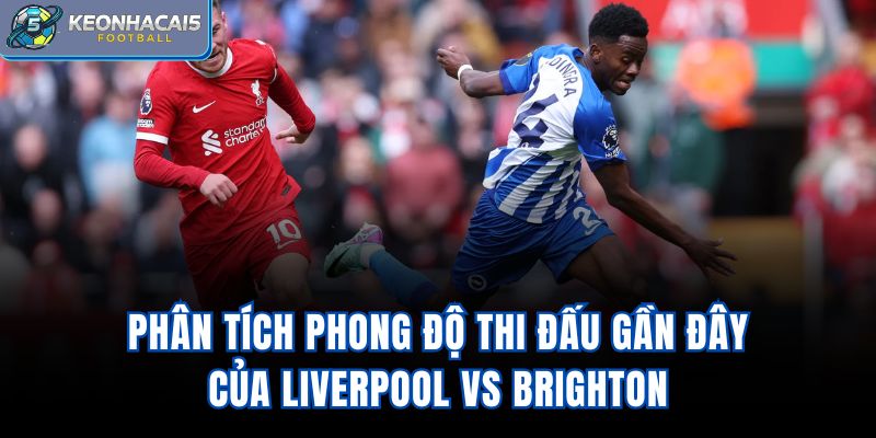 Phân tích phong độ thi đấu gần đây của Liverpool vs Brighton