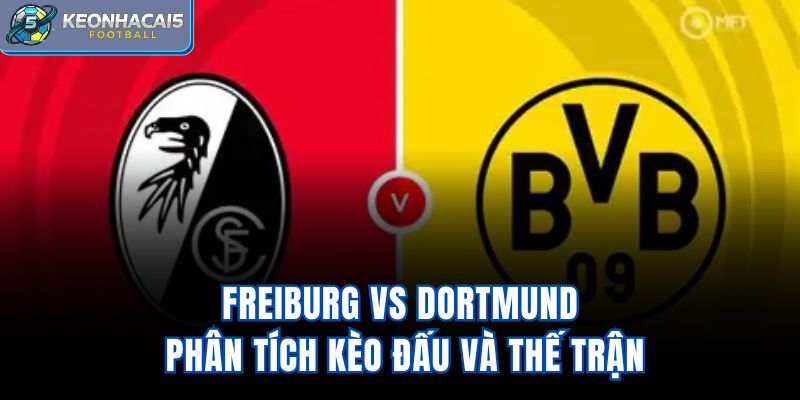 Freiburg Vs Dortmund - Phân Tích Kèo Đấu Và Thế Trận