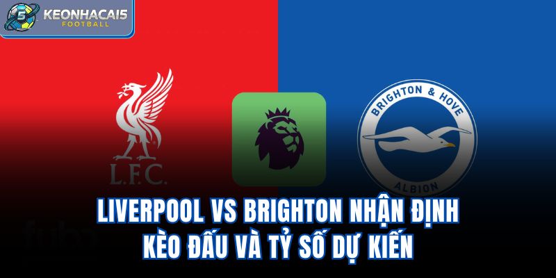 Liverpool Vs Brighton - Nhận Định Kèo Đấu Và Tỷ Số Dự Kiến