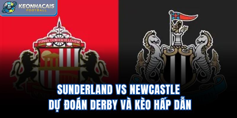 Sunderland Vs Newcastle - Dự Đoán Derby Và Kèo Hấp Dẫn